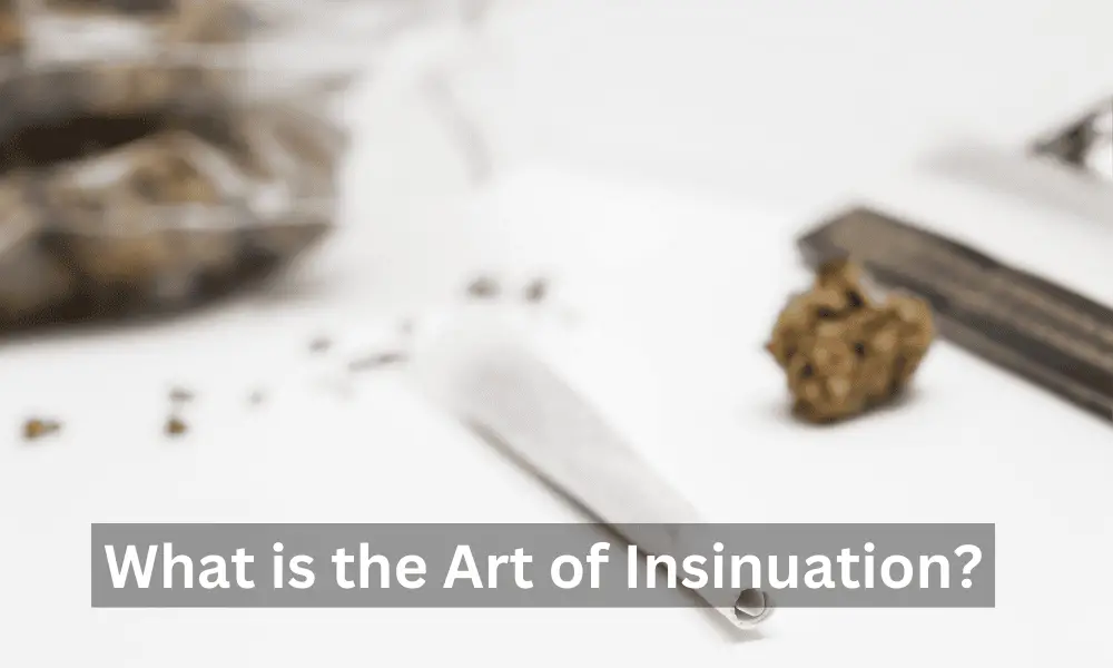 What is the Art of Insinuation?